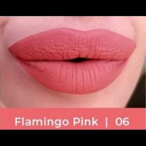 Farmasi Matte Liquid Lipstick in Flamingo Pink 🦩